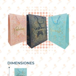 BOLSA DE REGALO DECORADA GRANDE PAQ CON 12 PIEZAS X-710 M9