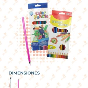 SET COLORES PAQUETE CON 12 SETS X-95-29 C21
