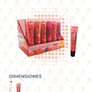 GLOSS SABORES PAQ 24 PIEZAS B-372 J11